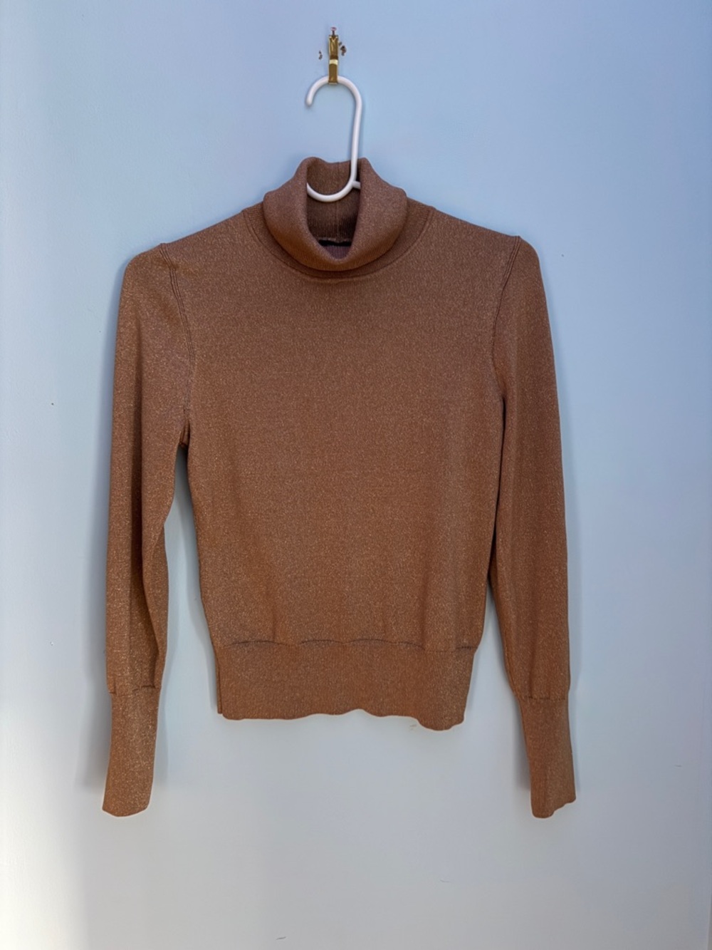 Express Turtleneck Sweater Long Sleeve Fitted Woman’s Brown XS